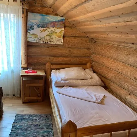 будинок художника шипіт Pilipets