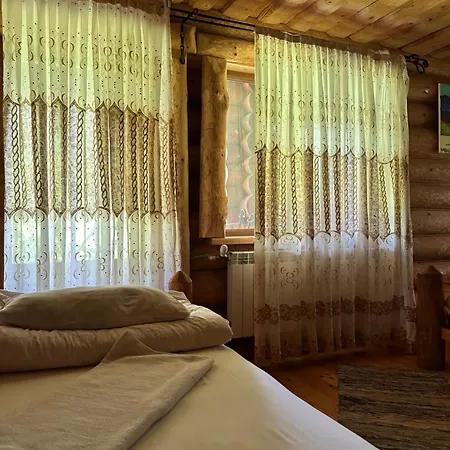 宾馆 будинок художника шипіт