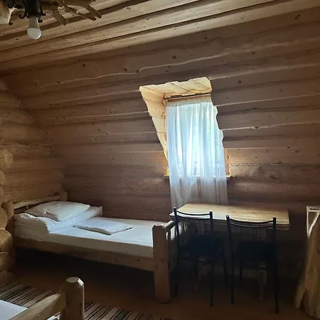 будинок художника шипіт