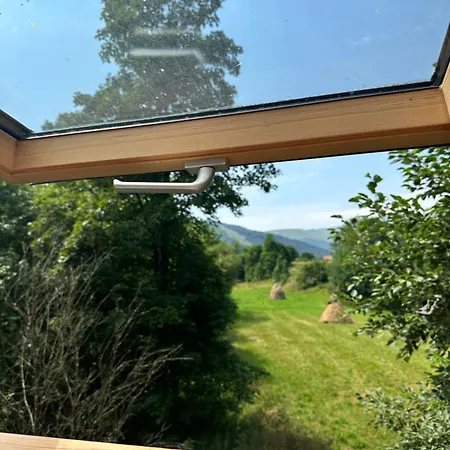 будинок художника шипіт イン *