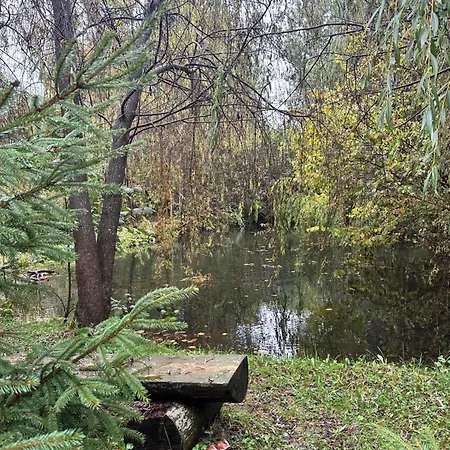будинок художника шипіт 宾馆