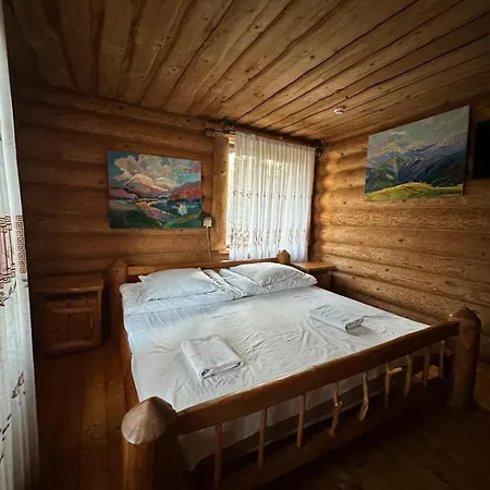 будинок художника шипіт イン Pilipets