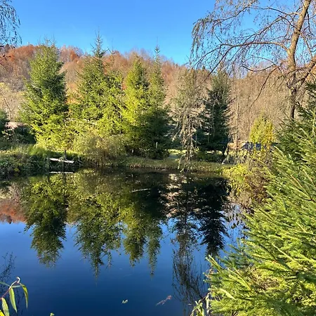 будинок художника шипіт 宾馆