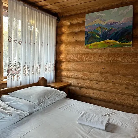 будинок художника шипіт * Pilipets