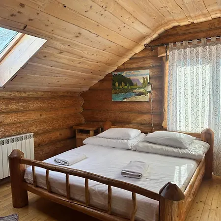 будинок художника шипіт イン *