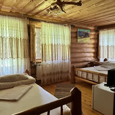 будинок художника шипіт