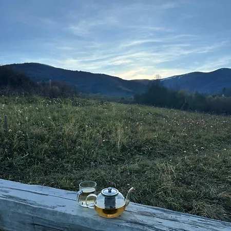 будинок художника шипіт Pilipets