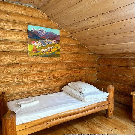 будинок художника шипіт * Pilipets