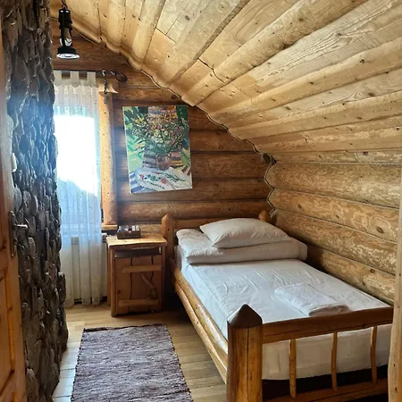 будинок художника шипіт Pilipets