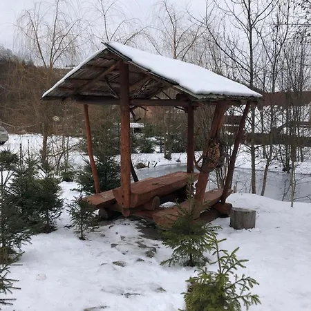 будинок художника шипіт Pilipets