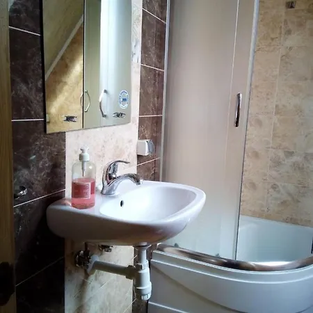 будинок художника шипіт Pilipets