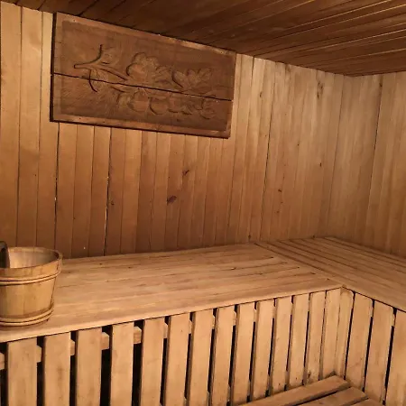 будинок художника шипіт *