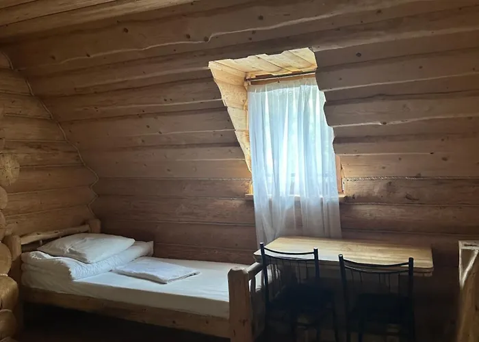 будинок художника шипіт