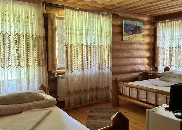 будинок художника шипіт