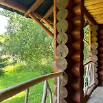 будинок художника шипіт *