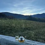 будинок художника шипіт Pilipets