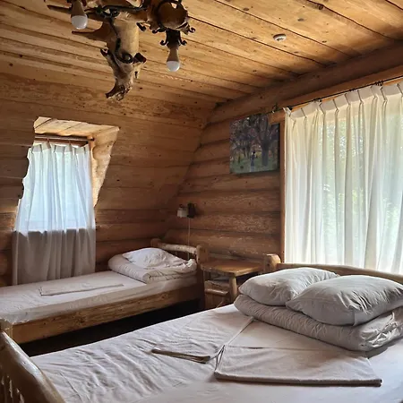 будинок художника шипіт