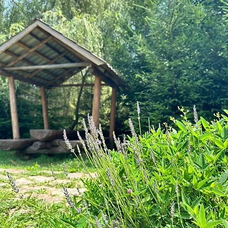 Värdshus будинок художника шипіт *